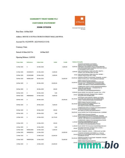 Nigeria Guaranty Trust Bank Plc wyciąg z konta Word i szablon PDF, 2 strony